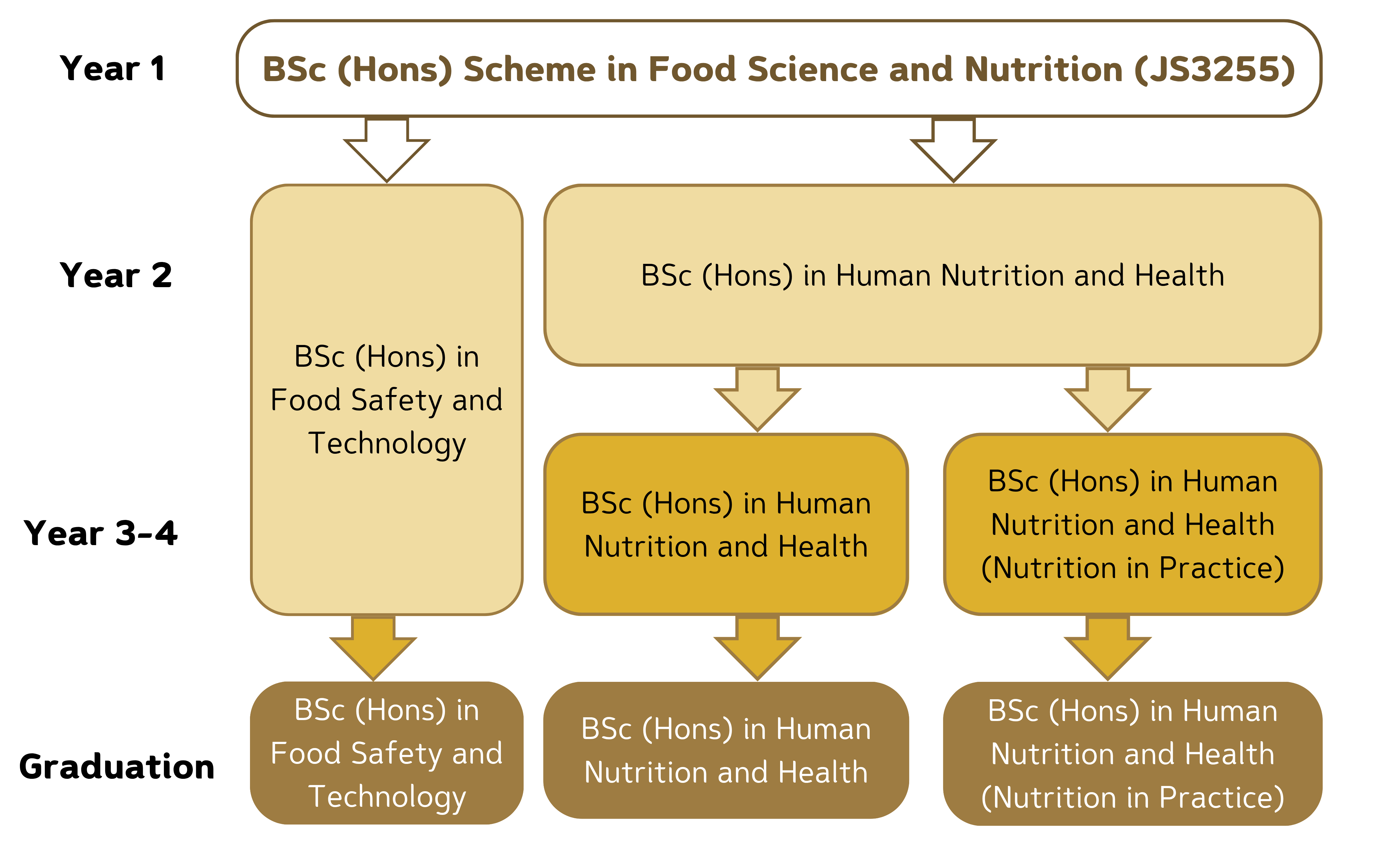 Flow Chart for Scheme_JS3255_no IE v2