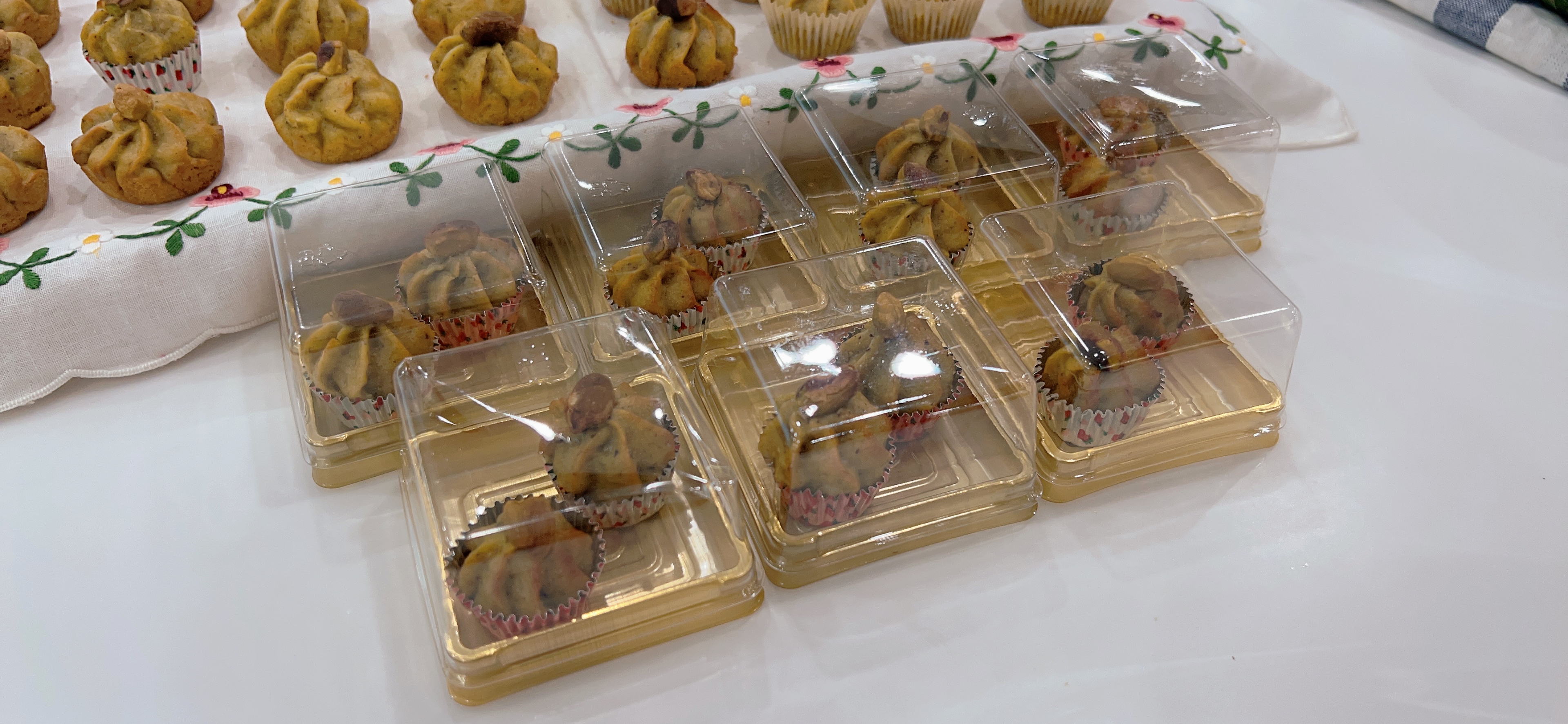 20240808_040235000_iOS