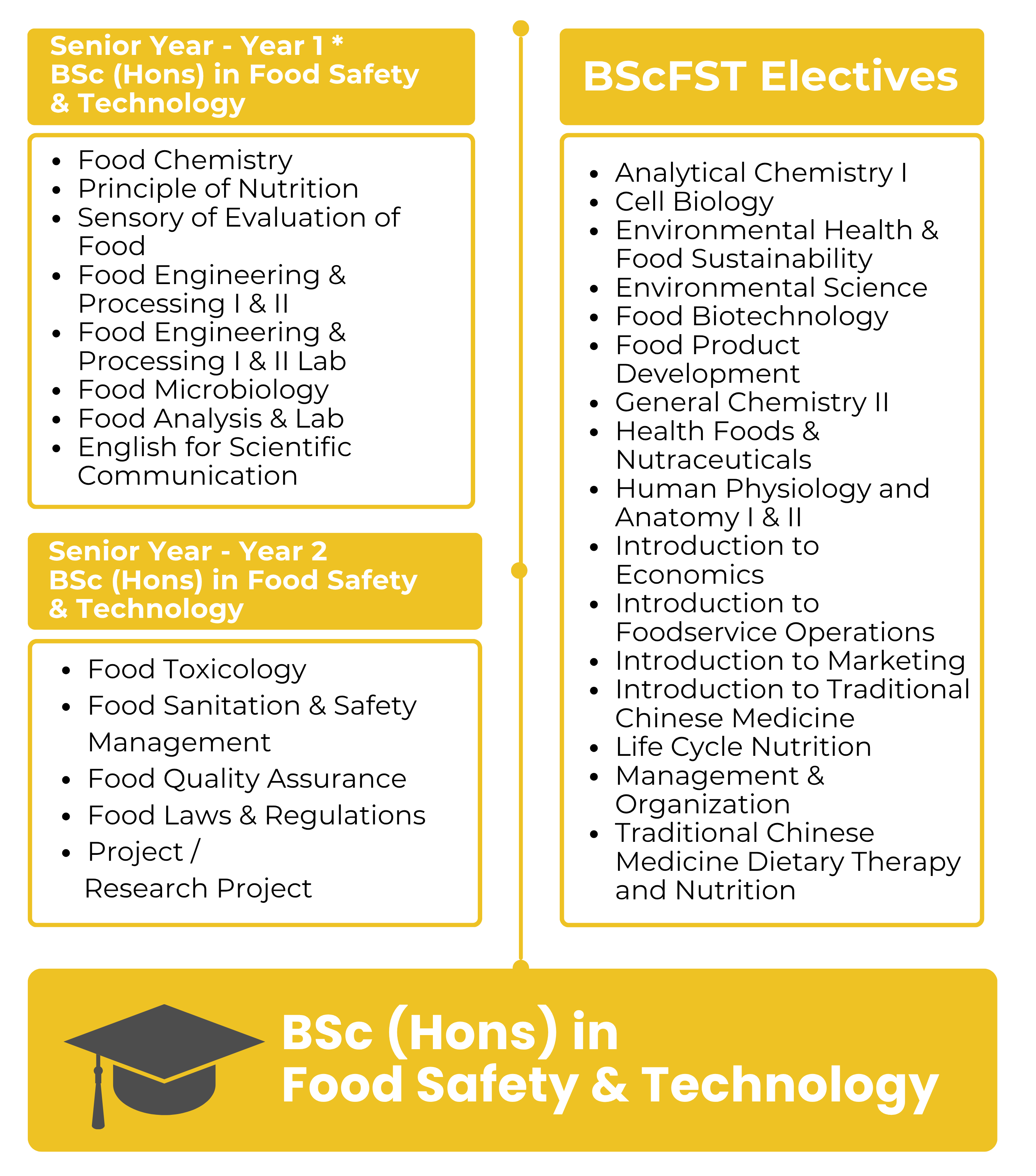 15454-SY_FST_Curriculum_s