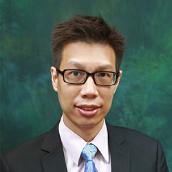 Dr Albert Choy