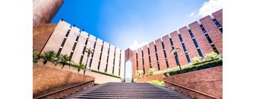 Endowed Young scholars