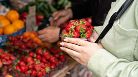 Sharing Session: The Secret of Picking Fruits