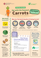 Eat with the Seasons: Carrots