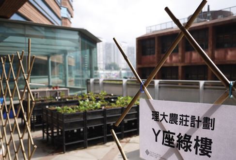 UrbanFarming@Y6 first launched