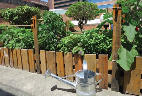 Fully-functional upcycled farm site on campus