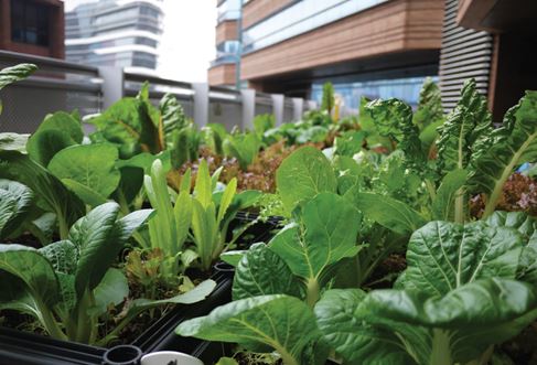 Farming activities received applause