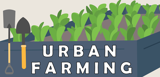 UF_Short_Banner_Icon