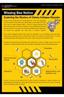 GreenTips-eDM-Apr2025_Poster