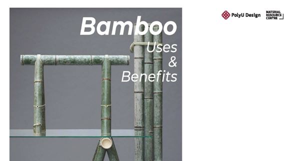Bamboo Uses and Benefits