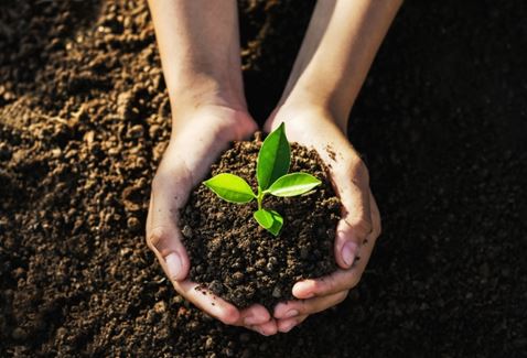 World Environment Day (5 June)