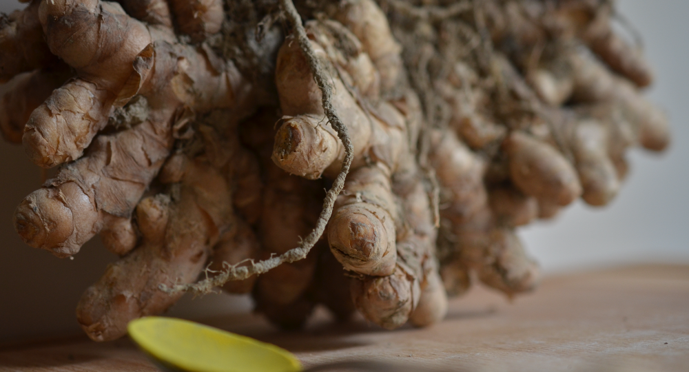 VL21-Activity3_1000x540