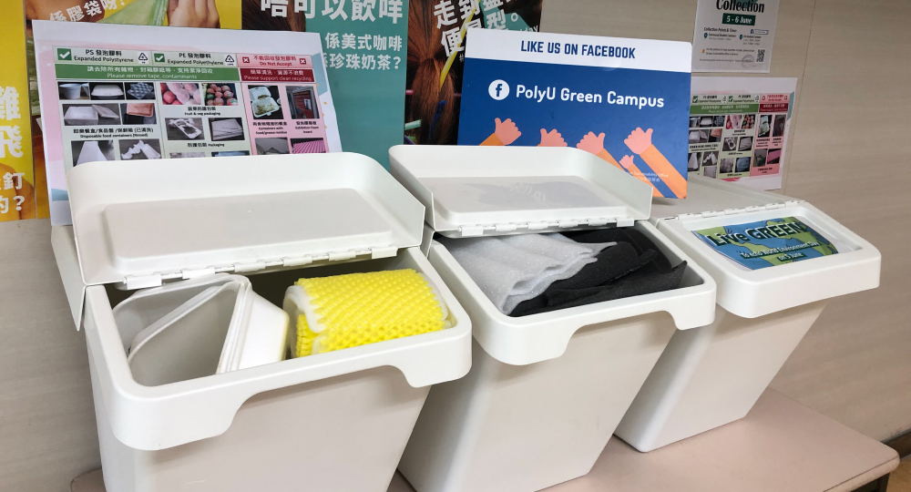 Live GREEN 2021: Polyfoam Collection