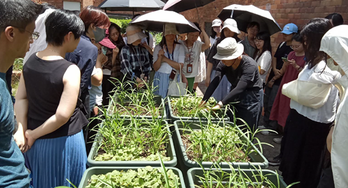 Urban Farming 202409-01 Fall_TIMG