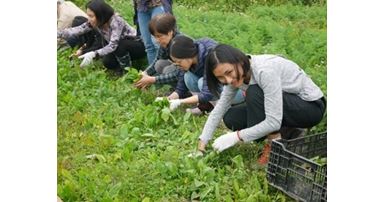 The precious experience visiting an organic farm