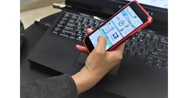 Spend a day in a sustainable way and be part of the GreenCoin community