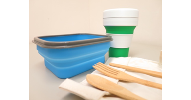 Making green new year’s resolutions