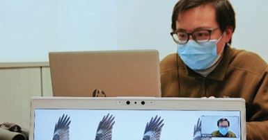 Flying with Black Kites in Hong Kong