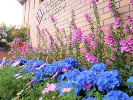 Seasonal flowers welcome everyone