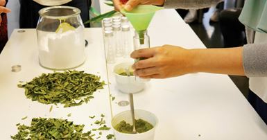 Creative veggie workshops