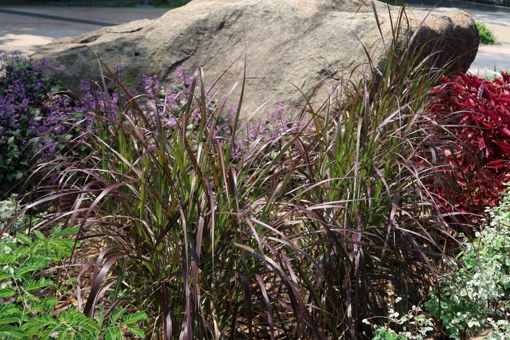 The Jogging Track Garden