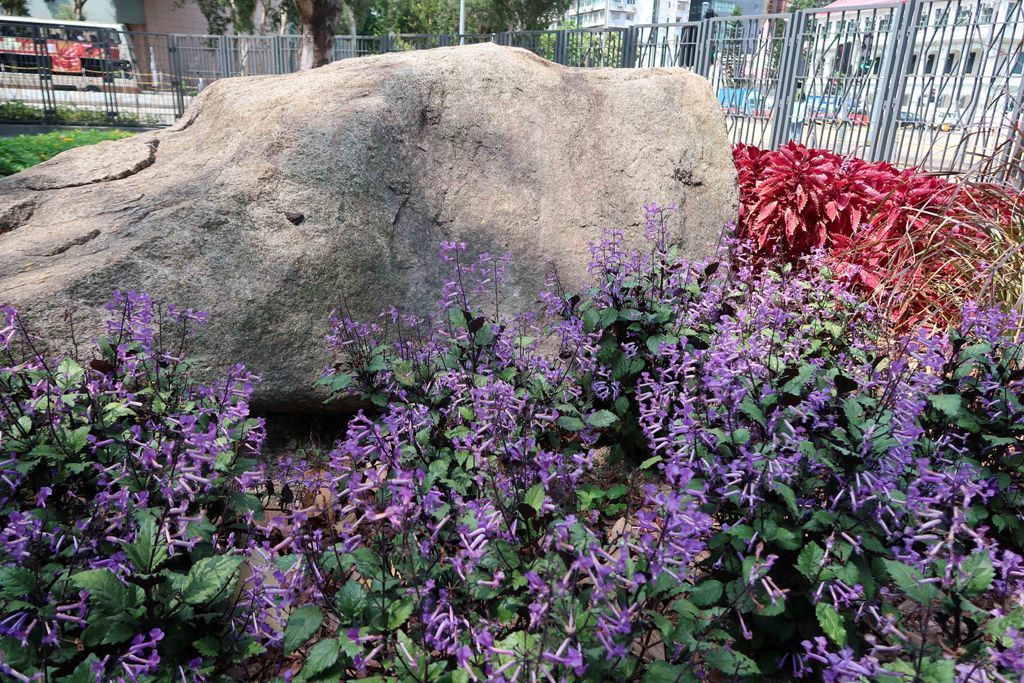 The Jogging Track Garden