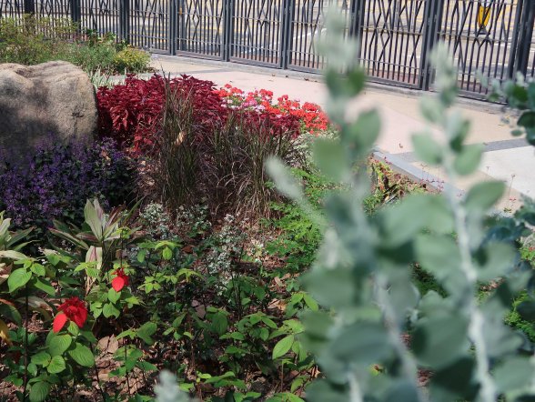 The Jogging Track Garden