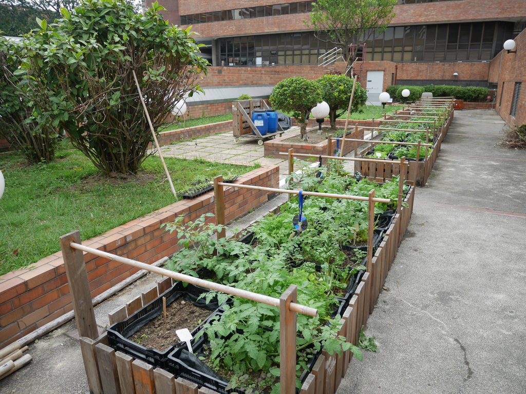 Urban Farming