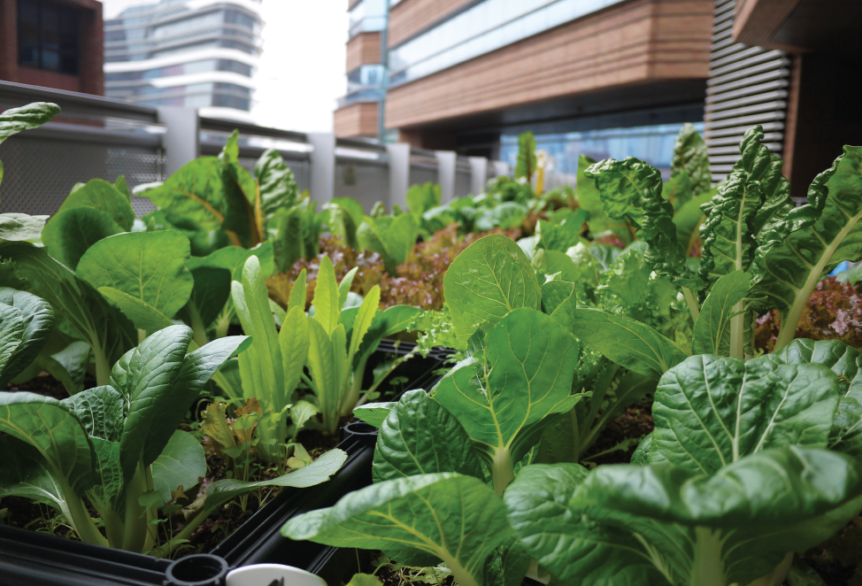 Farming activities received applause