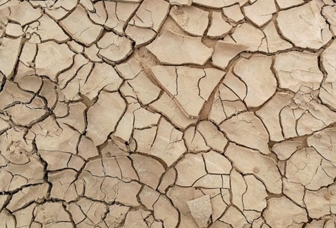 World Day to Combat Desertification and Drought (17 June)