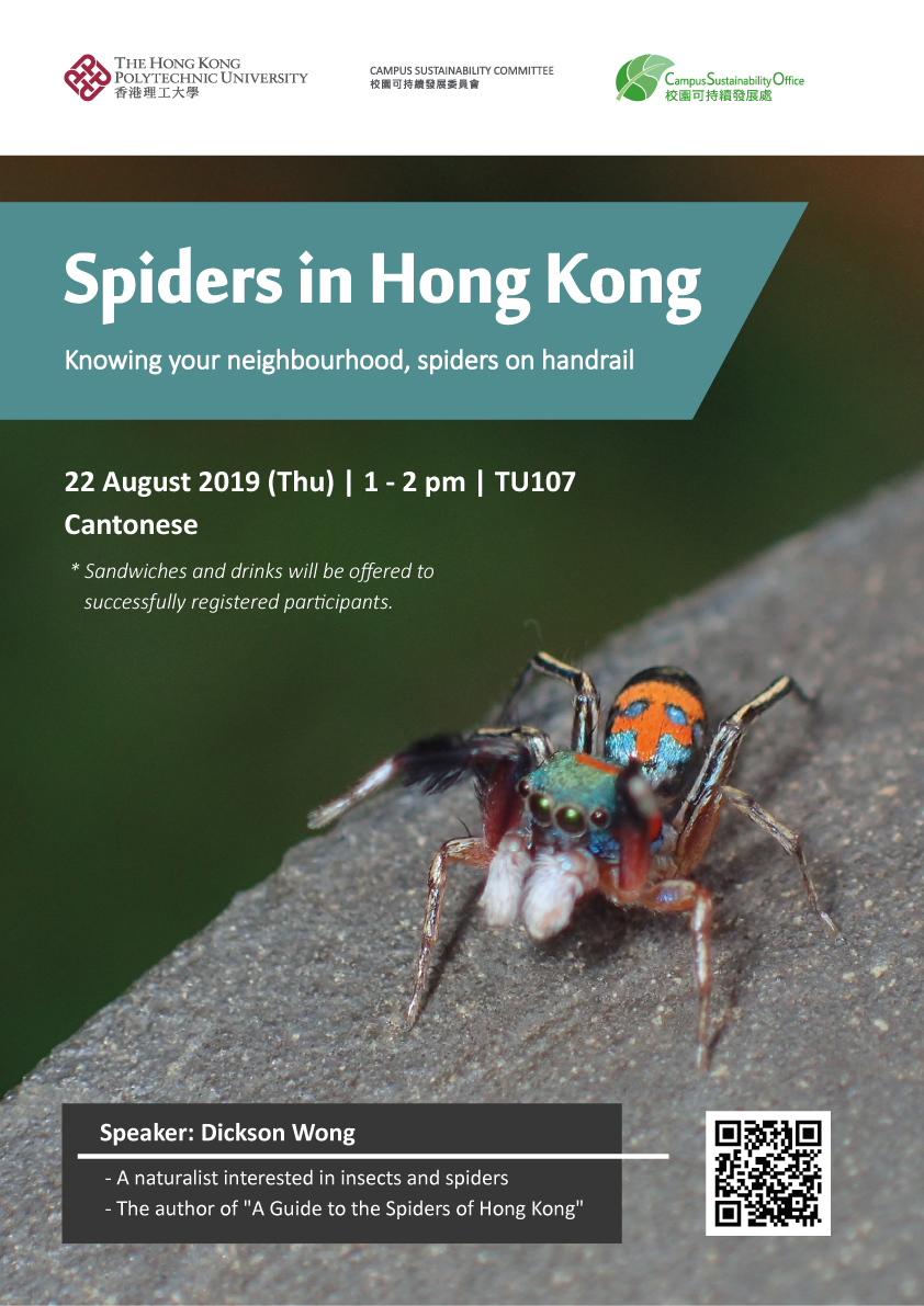 Poster - Spiders in Hong Kong