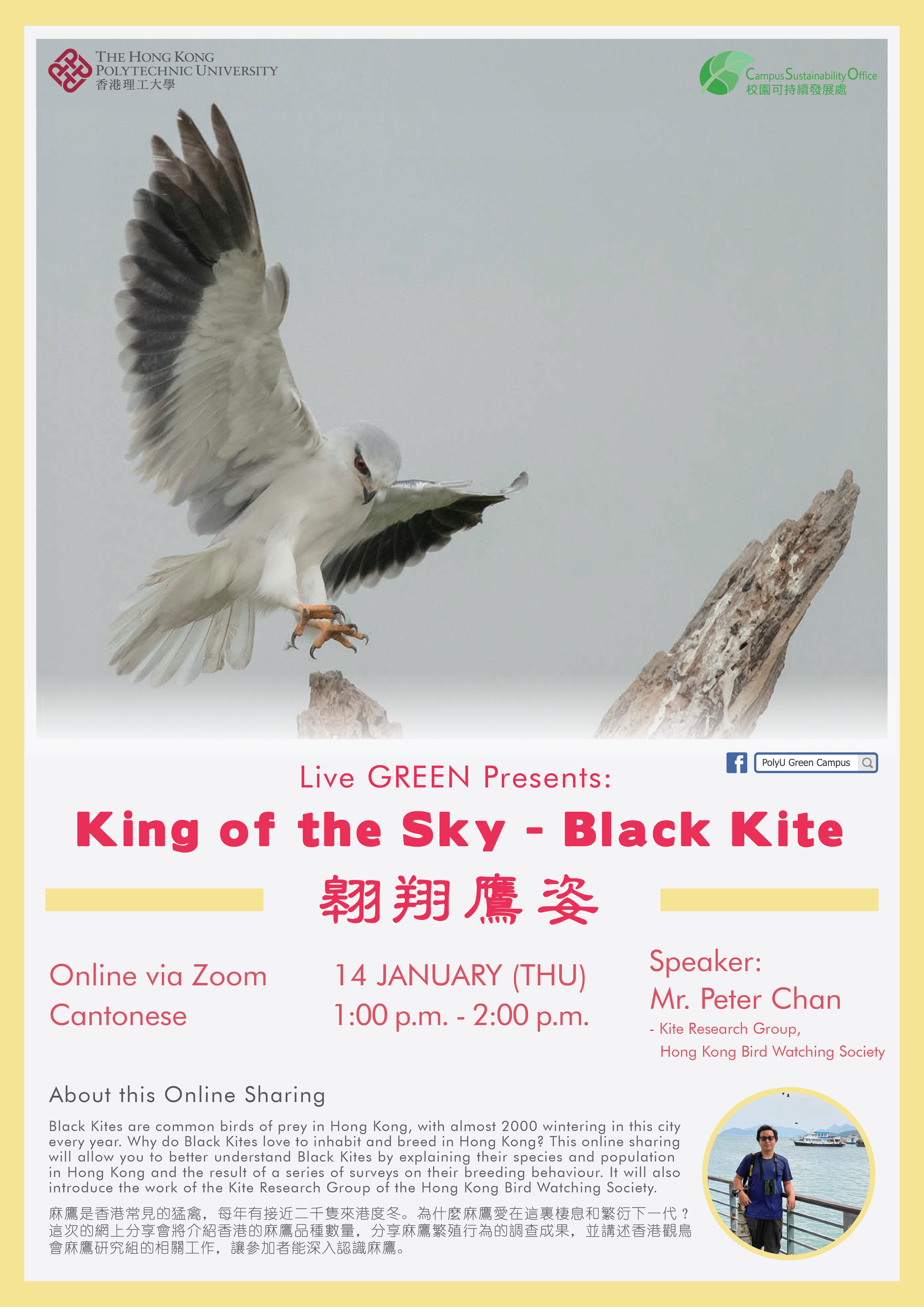 Poster - Live GREEN presents: King of the Sky – Black Kite 翱翔鷹姿