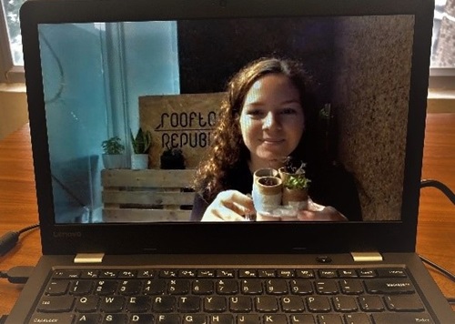 Online workshop on growing microgreens