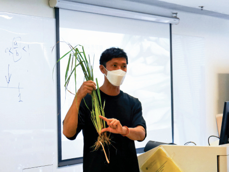 Organic herbal salt workshop