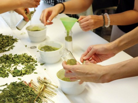 Organic herbal salt workshop