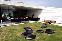 Green Roof