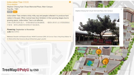 Location and information of trees and flowers can be found on TreeMap@PolyU