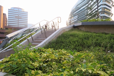 Greening areas at Block X
