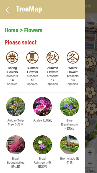 The revamped TreeMap@PolyU provides information on blossoming flowers on campus