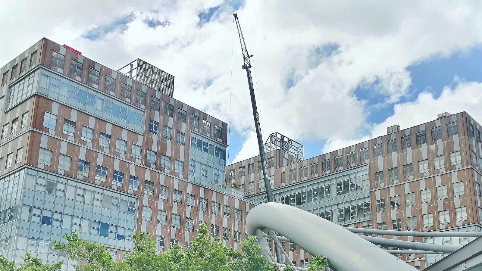 WhatsApp Image 20250621 at 183638