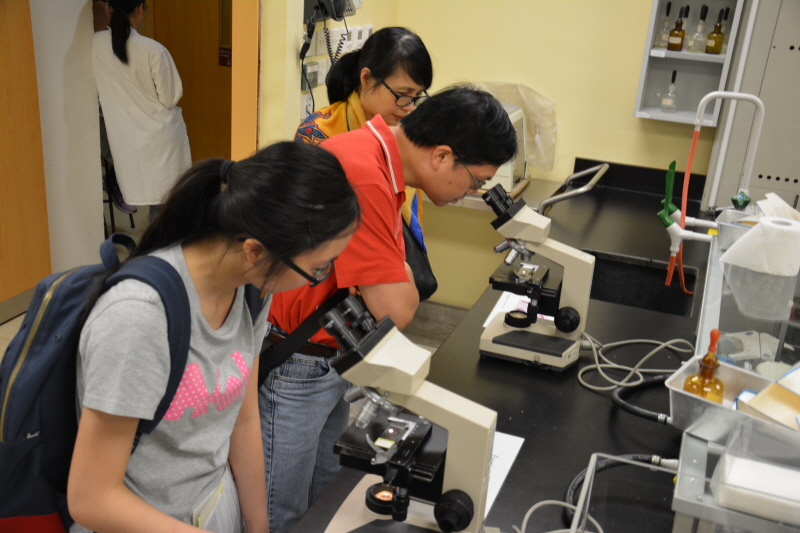 20150516_AdmissionStrategies_p004