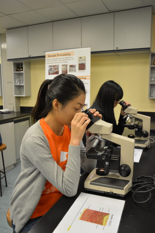 20150623_HTISummer_020