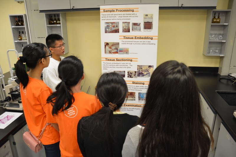 20150623_HTISummer_021