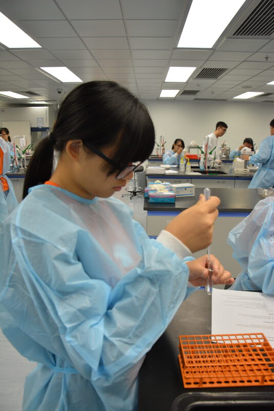 20150623_HTISummer_024