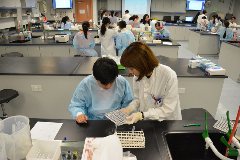 20150623_HTISummer_025