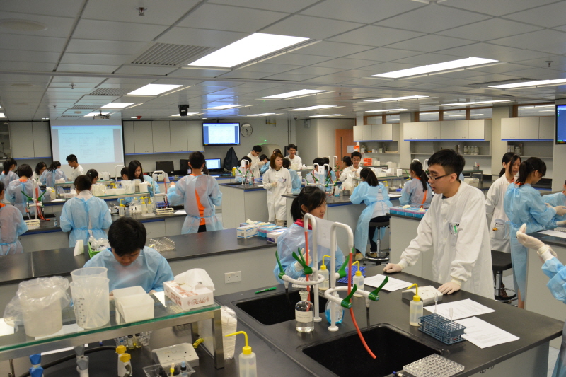 20150623_HTISummer_026