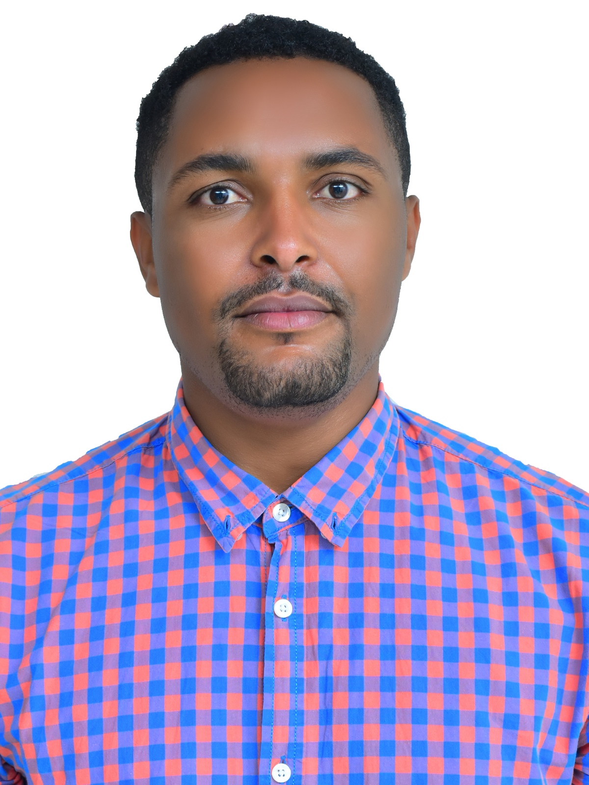 Mr Tilaye Shibbiru MENGISTU