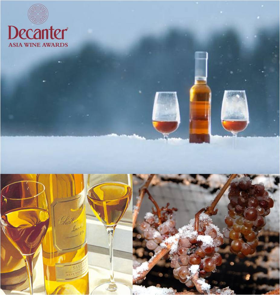 The Food and Wine Academy