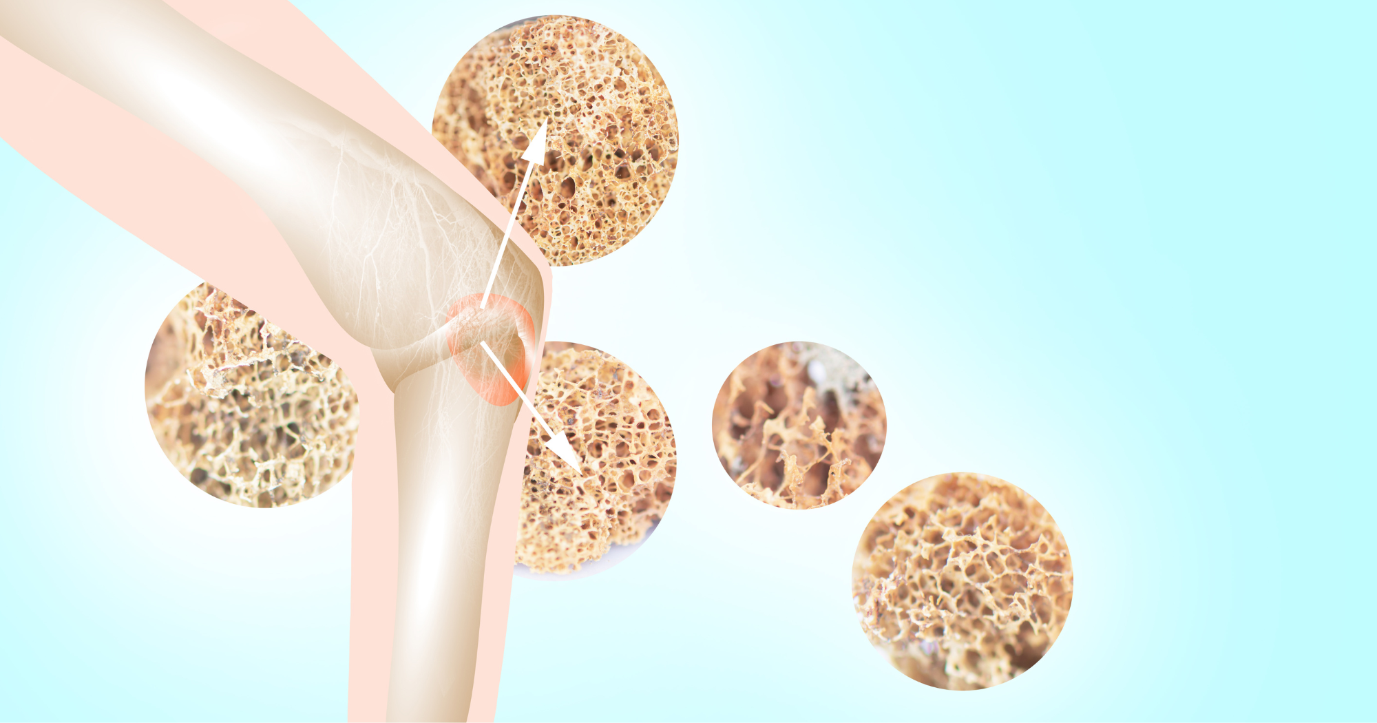 66_PAIR_Novel Selenium_1000x525