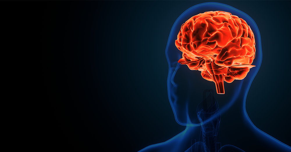 89 PAIRFrontopolar Cortex