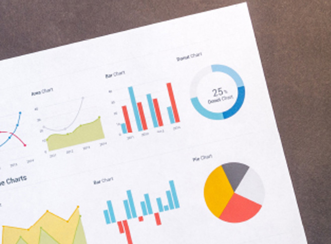 PolyU Development Statistics666x490